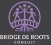 Bridge De Roots Consult